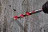 PL-016115-NEUTR-01